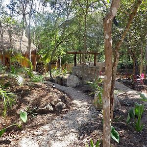 Casa Mango
